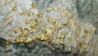 gold mine